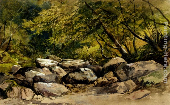 A Rocky Stream, Lyndale, Devon painting - William James Muller A Rocky Stream, Lyndale, Devon art painting